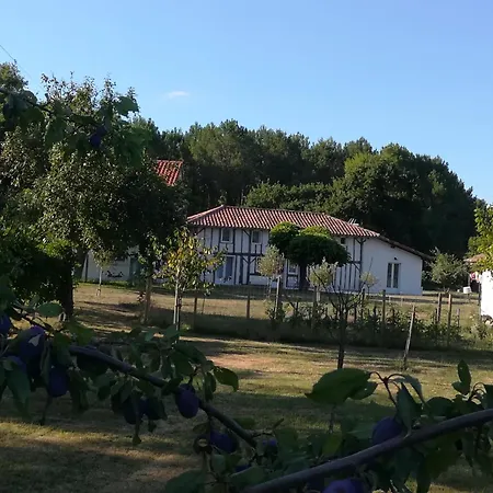 Ferme Landaise Dans Un Environnement Privilegie Tatil Evi *